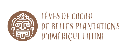 Écorces d'Orange Confites Maison - Chocolats VOISIN Lyon depuis 1897